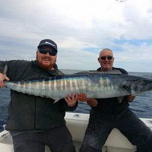 Meet your Posher, Blake